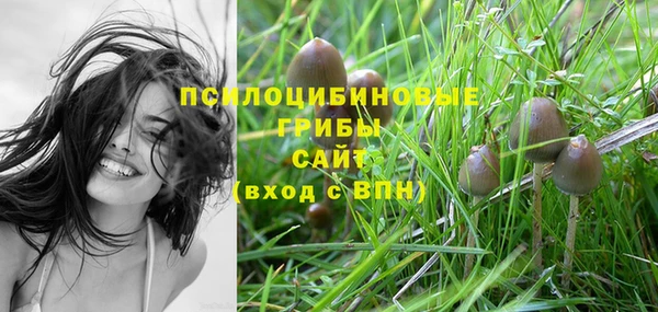 бутират Алзамай