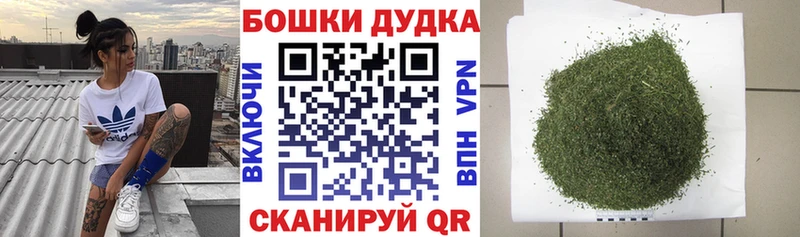 Канабис конопля  Бабаево 